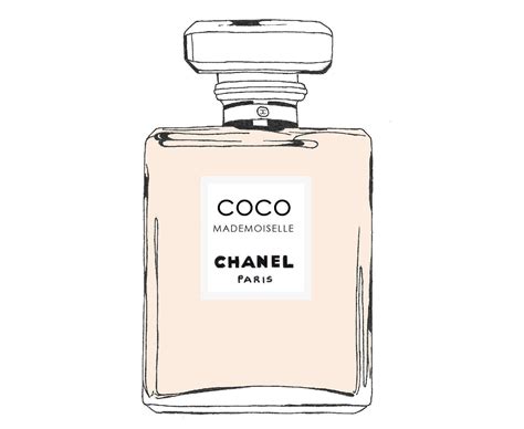 Chanel perfume logo vector